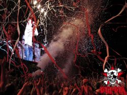 Die Toten Hosen - 15.06.2013 Ferropolis (13)